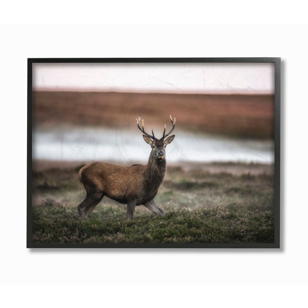 Stupell Industries Wild Deer Animal Landscape Photo Framed Giclee Texturized Art by Villager Jim