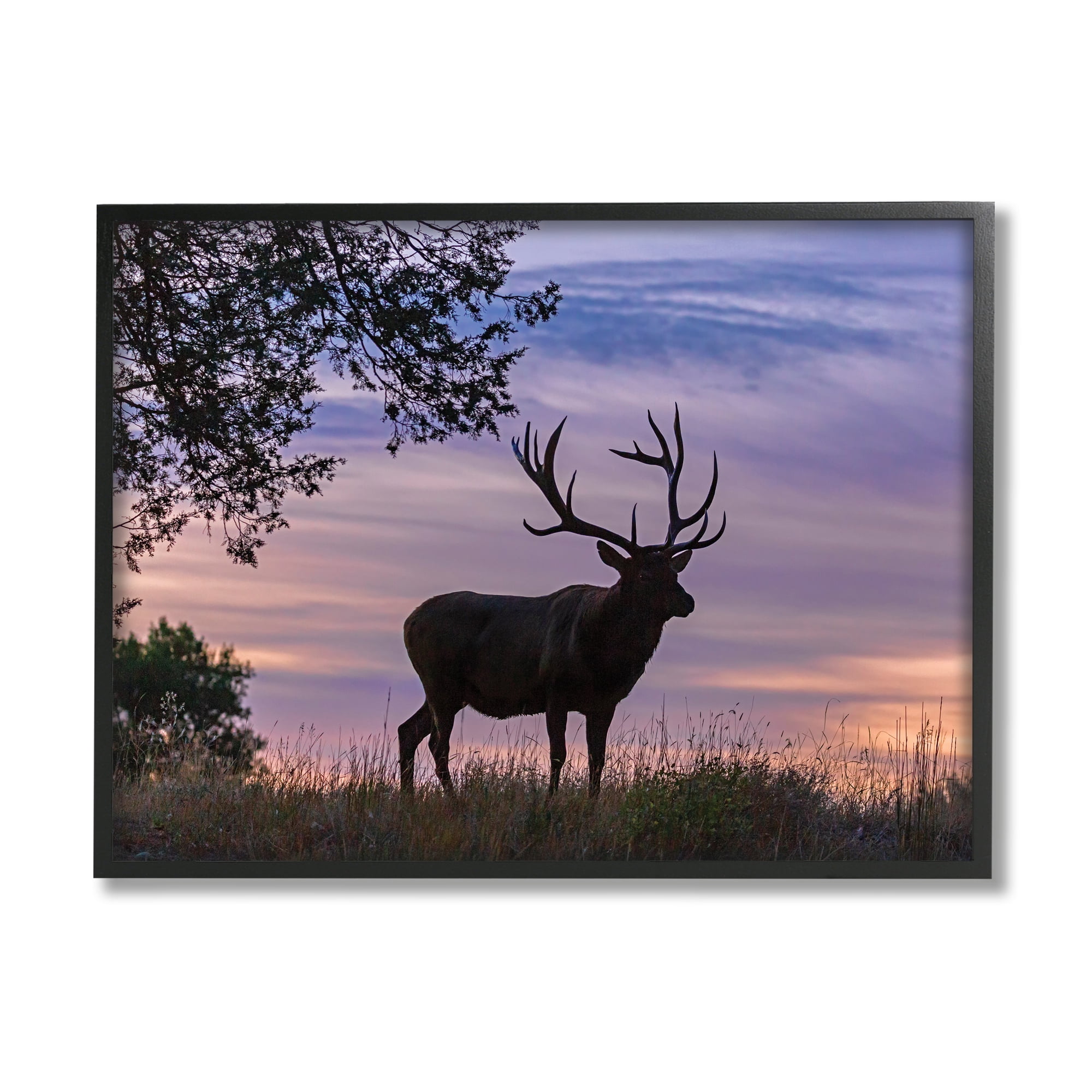 Stupell Industries Wild Elk Sunrise Forest Animal Antlers Morning Sky, 16 x 20, Designed by Larry McFerrin