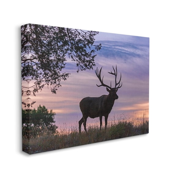 Stupell Industries Wild Elk Sunrise Forest Animal Antlers Morning Sky, 16 x 20, Designed by Larry McFerrin