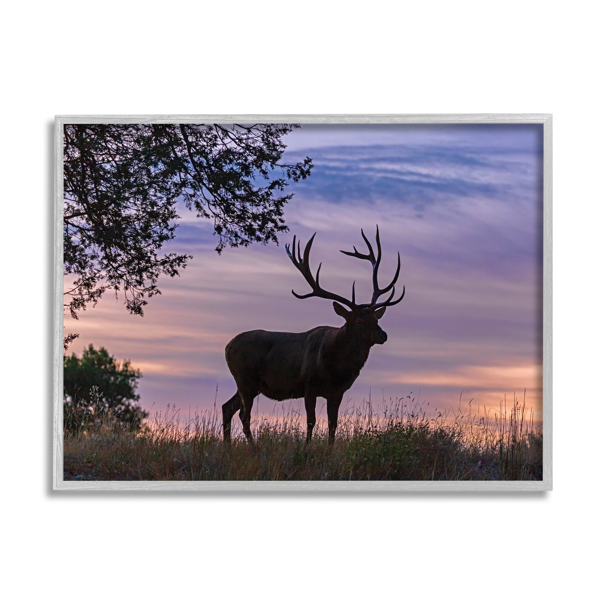 Stupell Industries Wild Elk Sunrise Forest Animal Antlers Morning Sky Photography Gray Framed Art Print Wall Art, 16x20, by Larry McFerrin