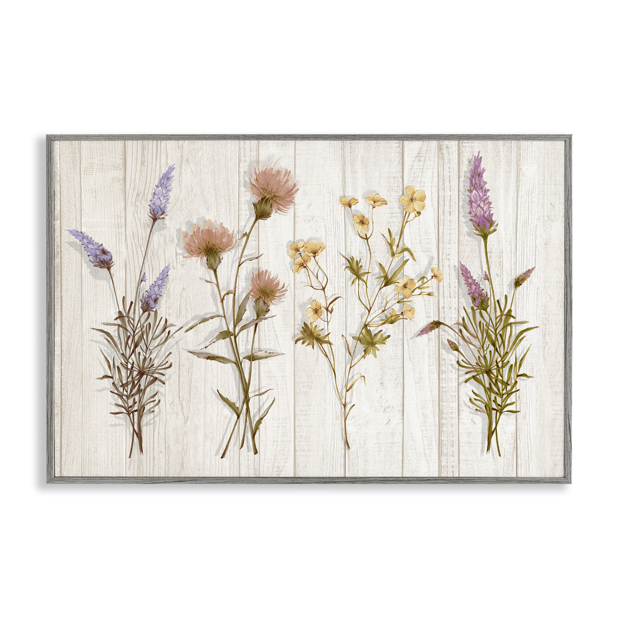 Stupell Industries Wild Flower Sprigs Plants & Flowers Painting Gray Framed Art Print Wall Art, 30 x 20