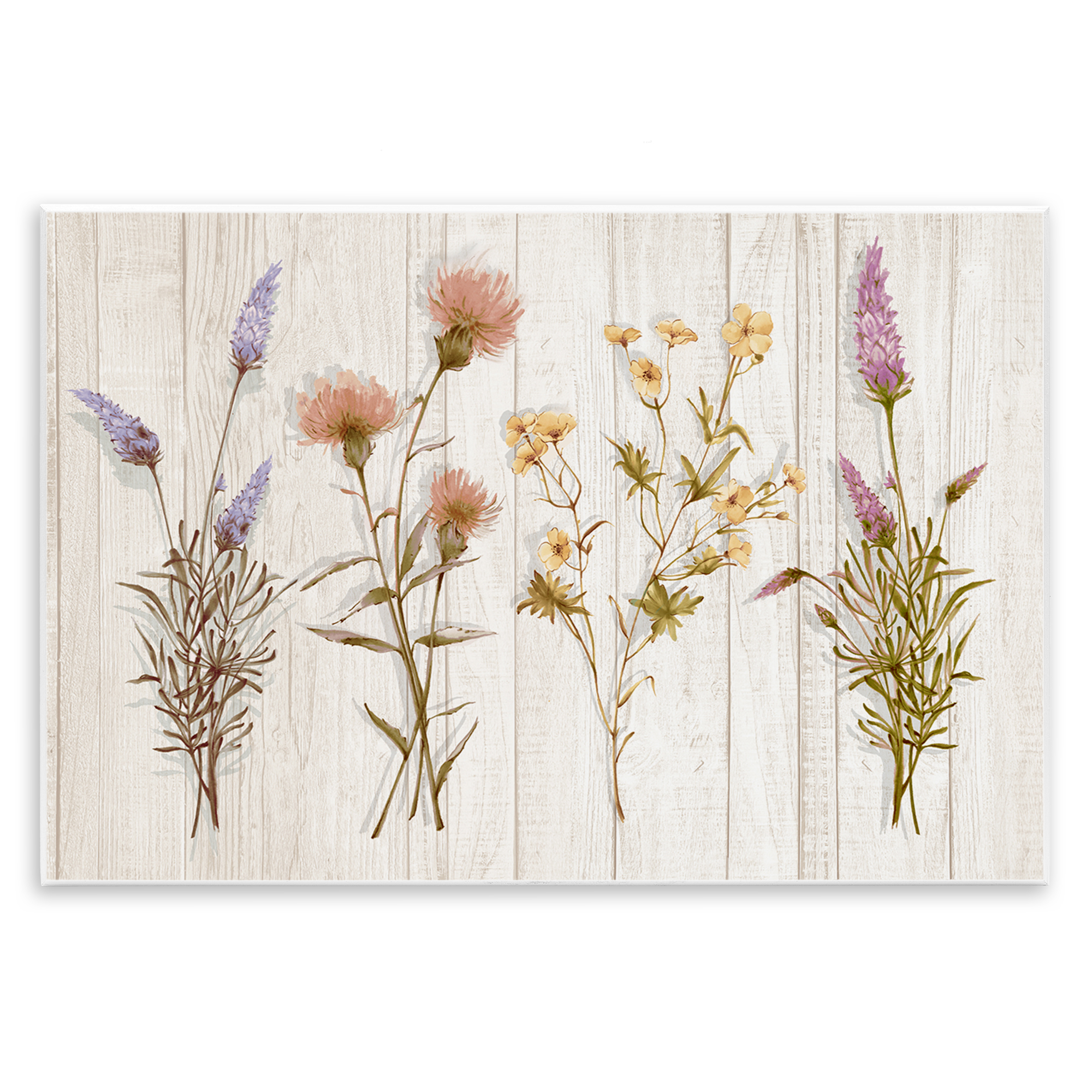 Stupell Industries Wild Flower Sprigs Plants & Flowers Painting Unframed Art Print Wall Art, 19 x 13