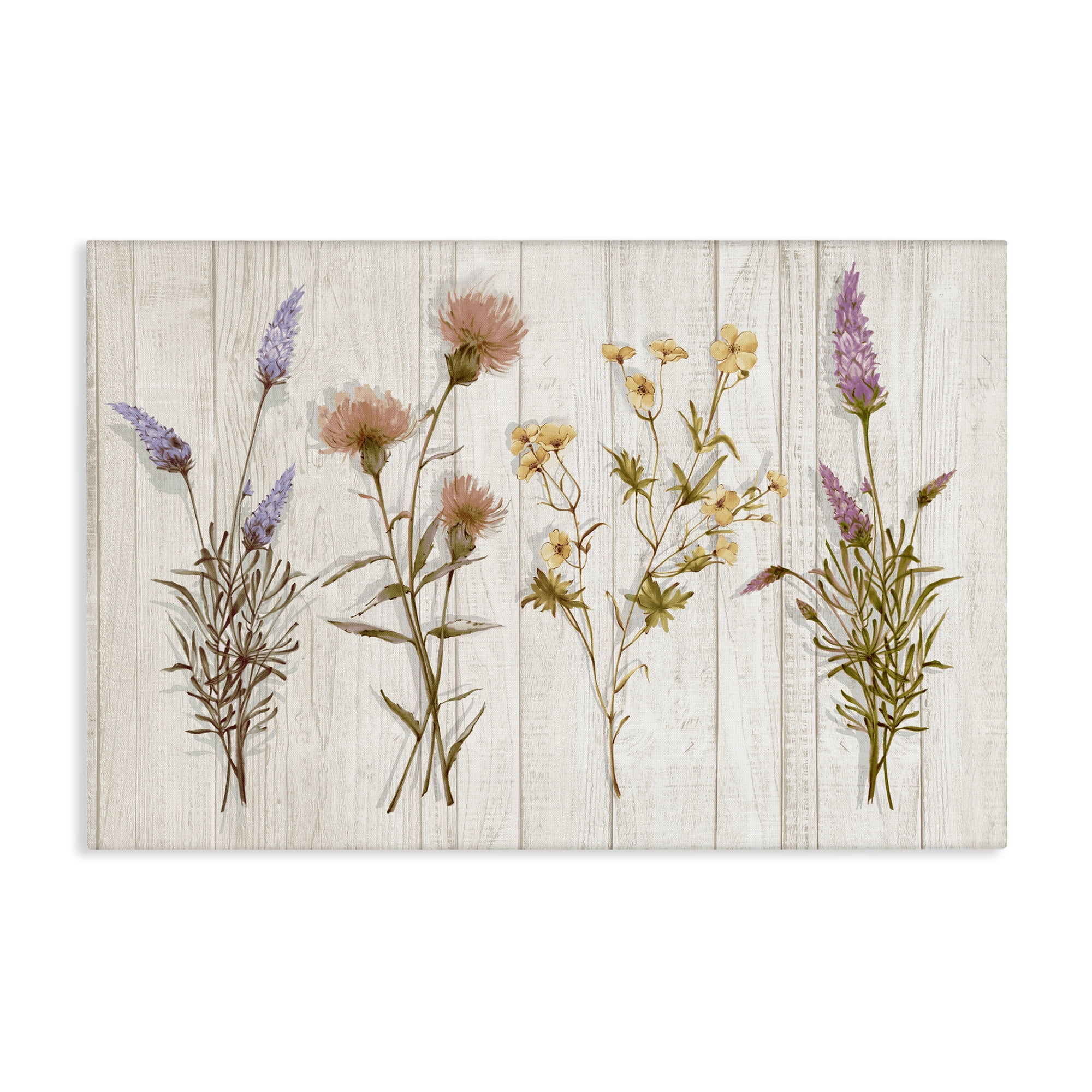 Stupell Industries Wild Flower Sprigs Plants & Flowers Painting Wrapped Canvas Art Print Wall Art, 36 x 24