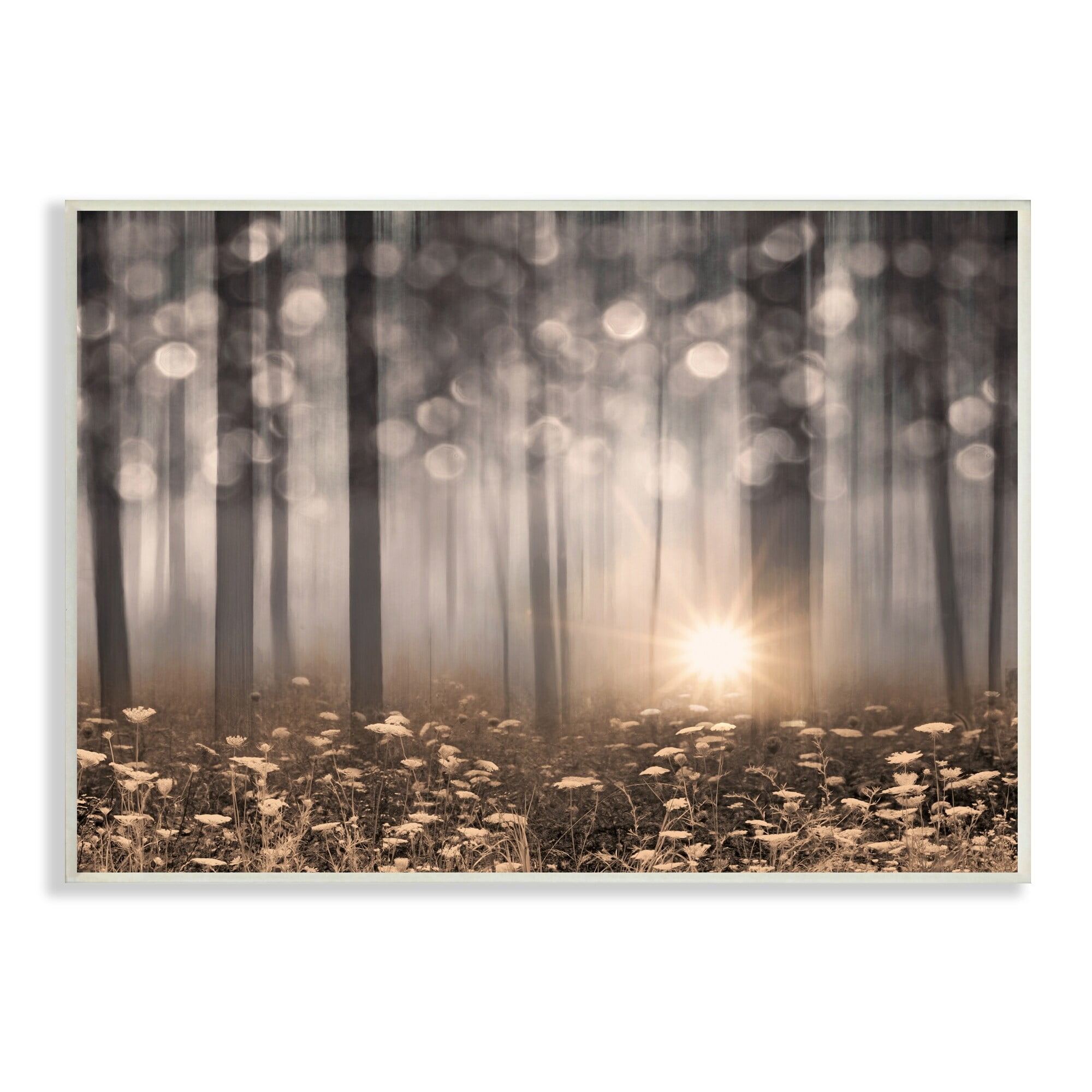 Stupell Industries Wild Flowers Foggy Forest Sunrise Horizon Bokeh Photography,19 x 13, Design by Lorie Deiter
