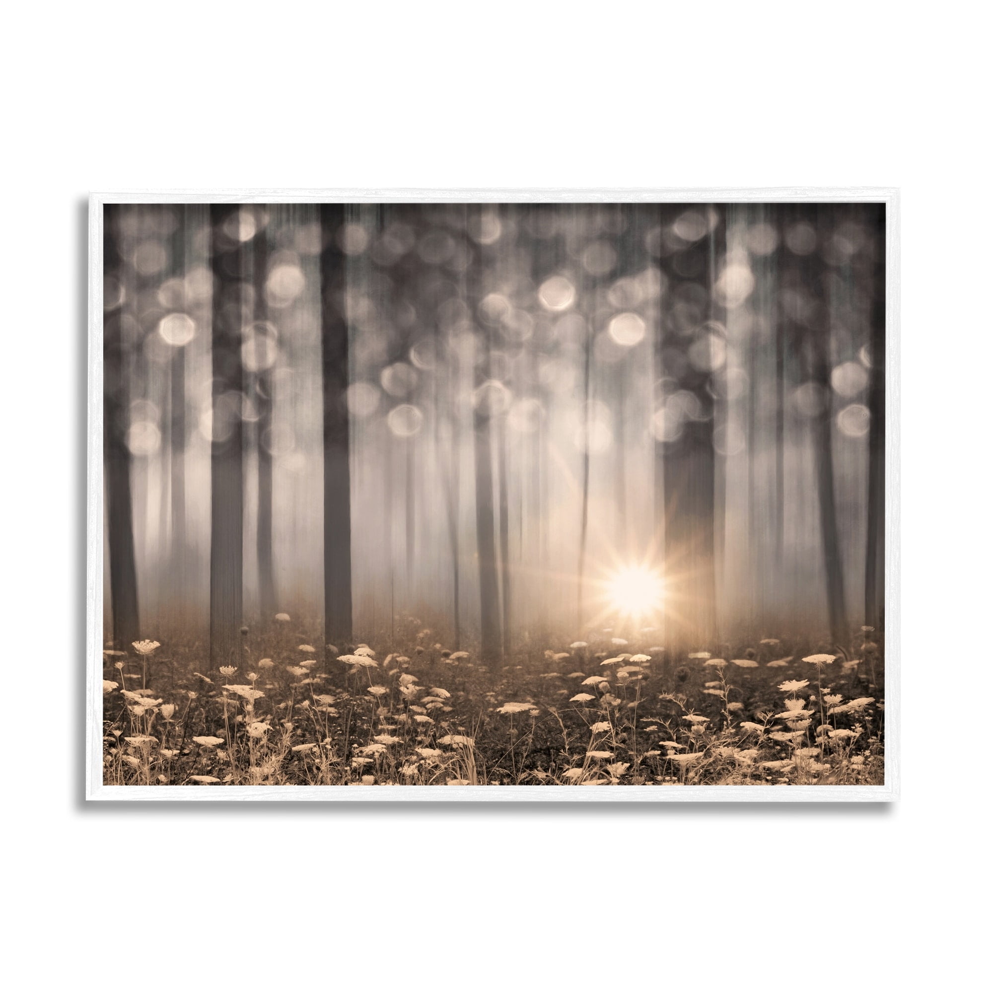 Stupell Industries Wild Flowers Foggy Forest Sunrise Horizon Bokeh Photography,30 x 24, Design by Lorie Deiter