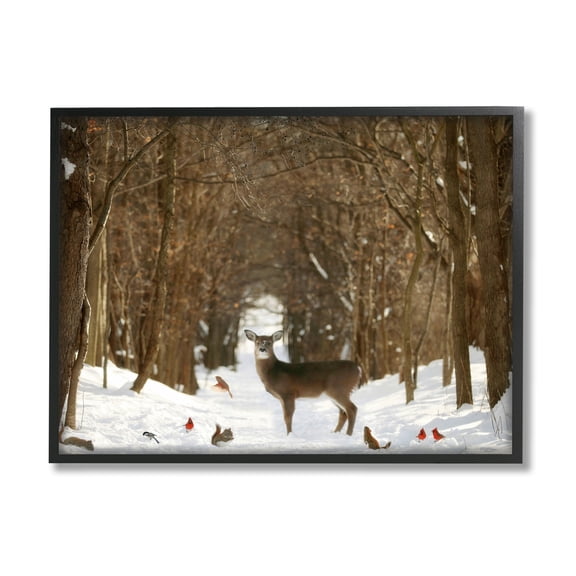 Stupell Industries Wild Forest Animals Gathered Amidst Snowy Trees Photograph Black Framed Art Print Wall Art, Design by Carrie Ann Grippo-Pike