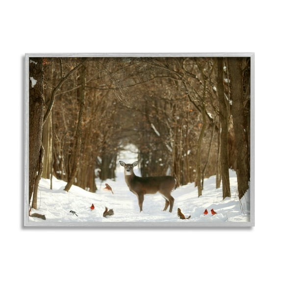 Stupell Industries Wild Forest Animals Gathered Amidst Snowy Trees Photograph Gray Framed Art Print Wall Art, Design by Carrie Ann Grippo-Pike
