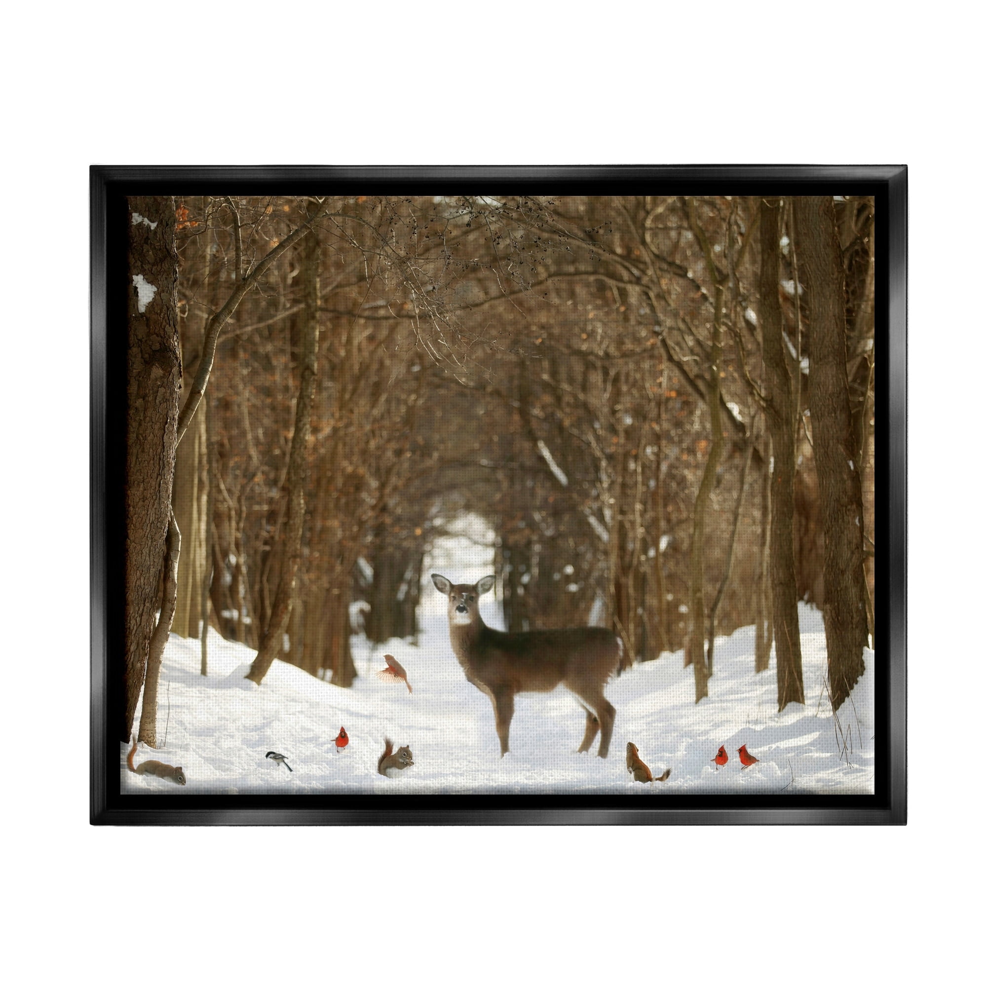 Stupell Industries Wild Forest Animals Gathered Amidst Snowy Trees Photograph Jet Black Floating Framed Canvas Print Wall Art, Design by Carrie Ann Grippo-Pike