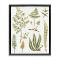 thumbnail image 1 of Stupell Industries Wild Forest Ferns Botanical & Floral Painting Black Floater Framed Art Print Wall Art, 17 x 21, 1 of 10