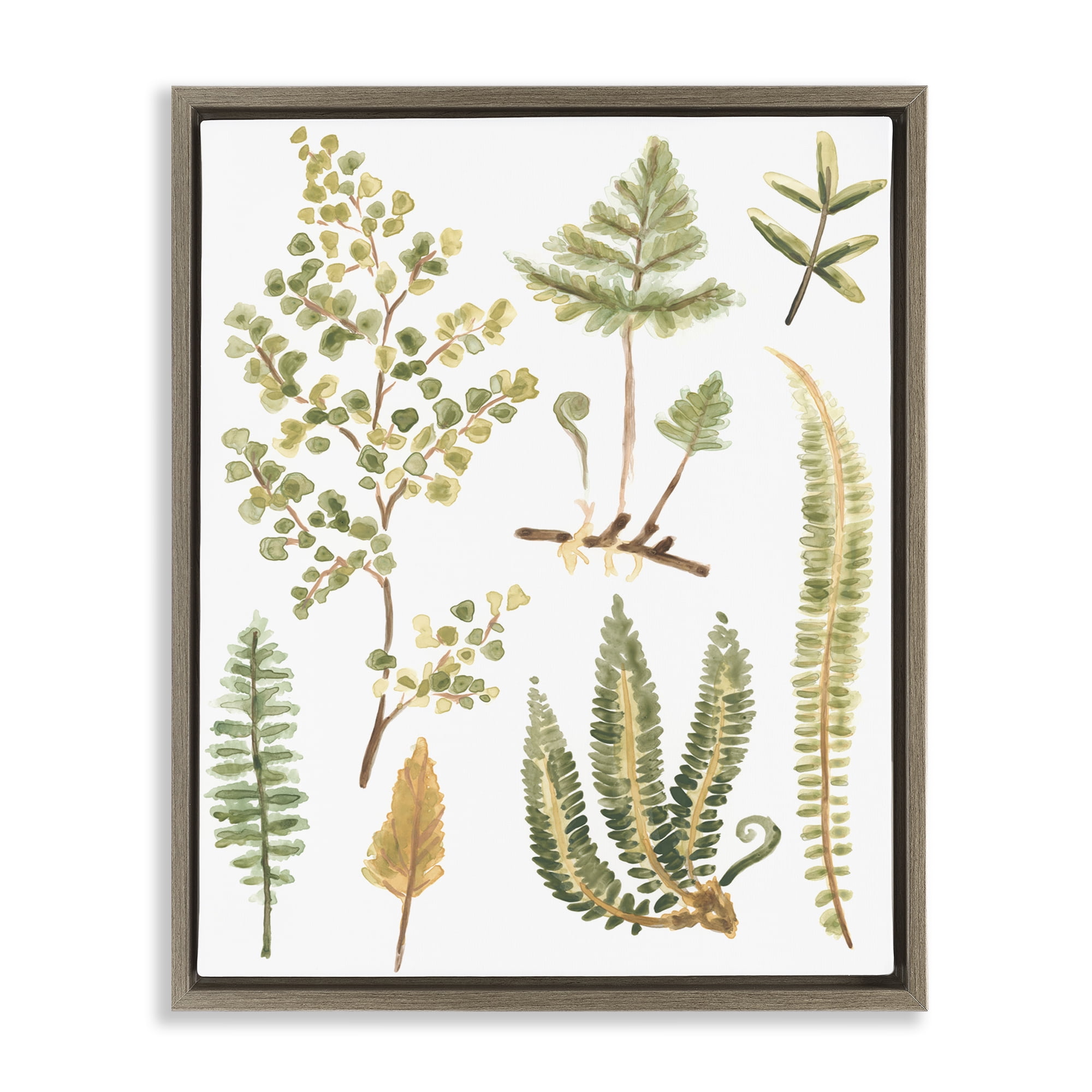 Stupell Industries Wild Forest Ferns Botanical & Floral Painting Brown Floater Framed Art Print Wall Art, 17 x 21