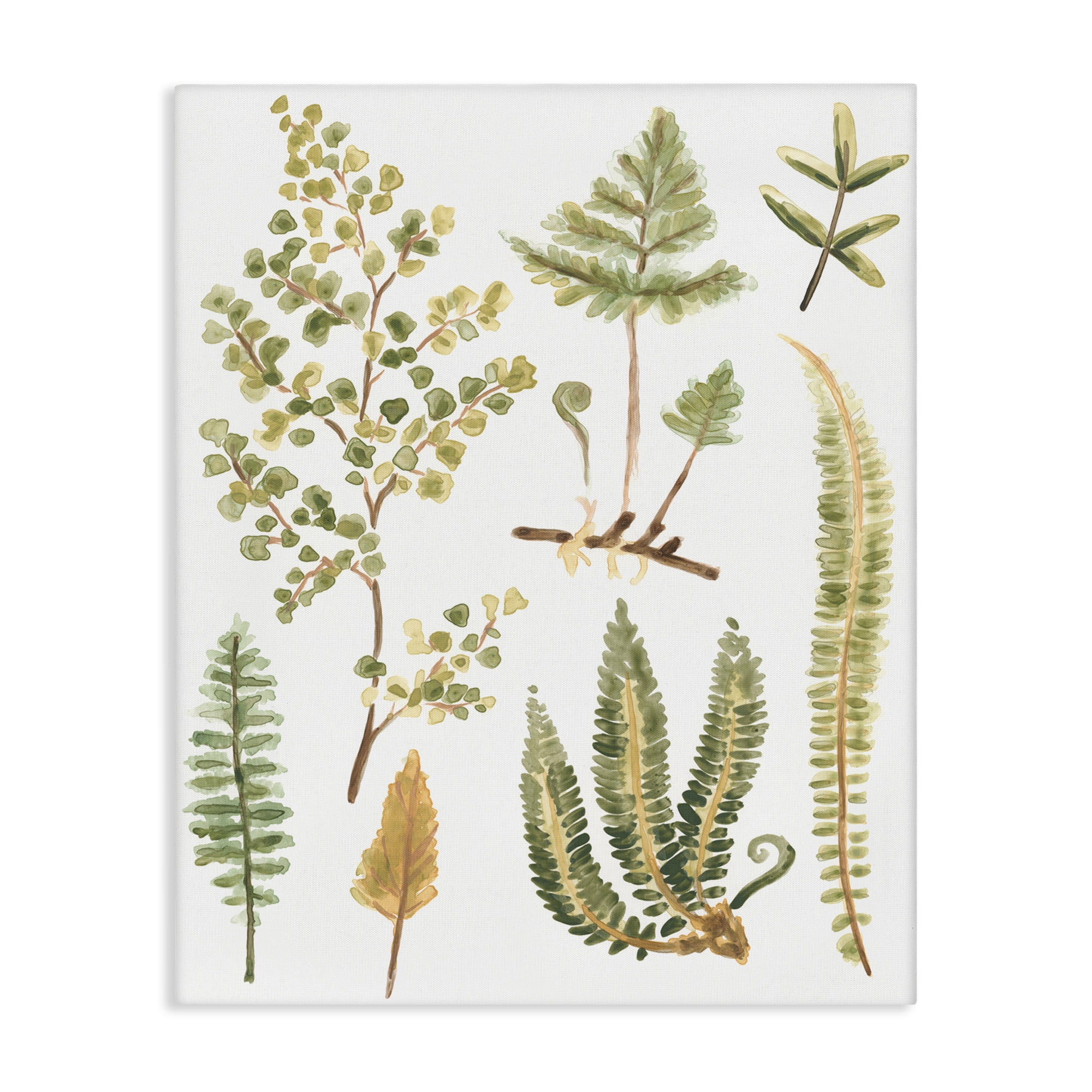Stupell Industries Wild Forest Ferns Botanical & Floral Painting Gallery Wrapped Canvas Art Print Wall Art, 36 x 48