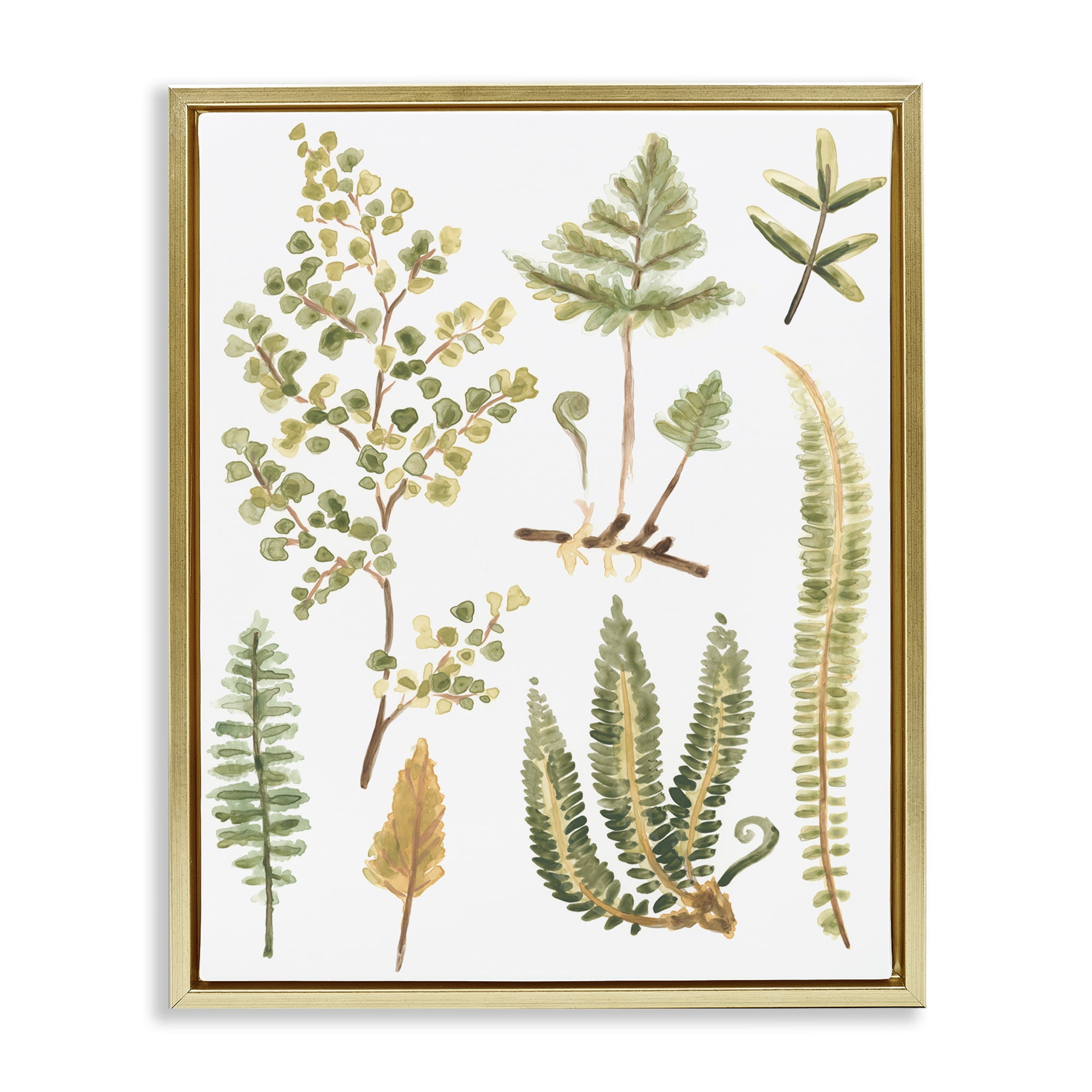 Stupell Industries Wild Forest Ferns Botanical & Floral Painting Gold Floater Framed Art Print Wall Art, 17 x 21