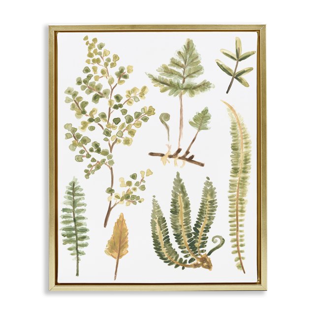 Stupell Industries Wild Forest Ferns Botanical & Floral Painting Gold