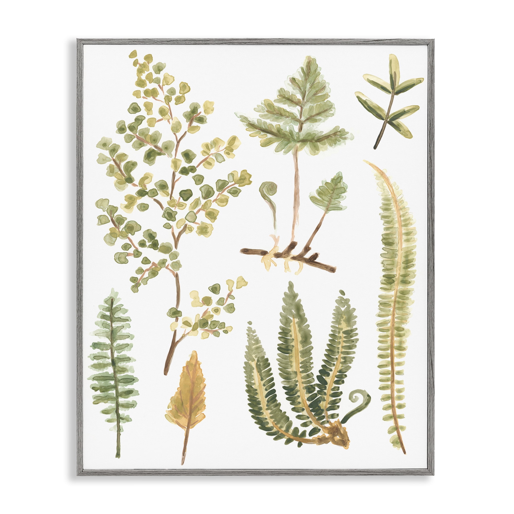 Stupell Industries Wild Forest Ferns Botanical & Floral Painting Gray Framed Art Print Wall Art, 11 x 14