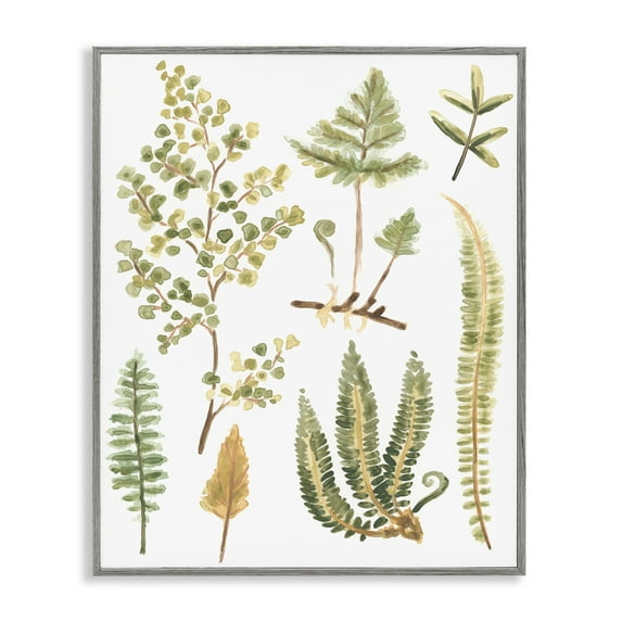 Stupell Industries Wild Forest Ferns Botanical & Floral Painting Gray Framed Art Print Wall Art, 11 x 14