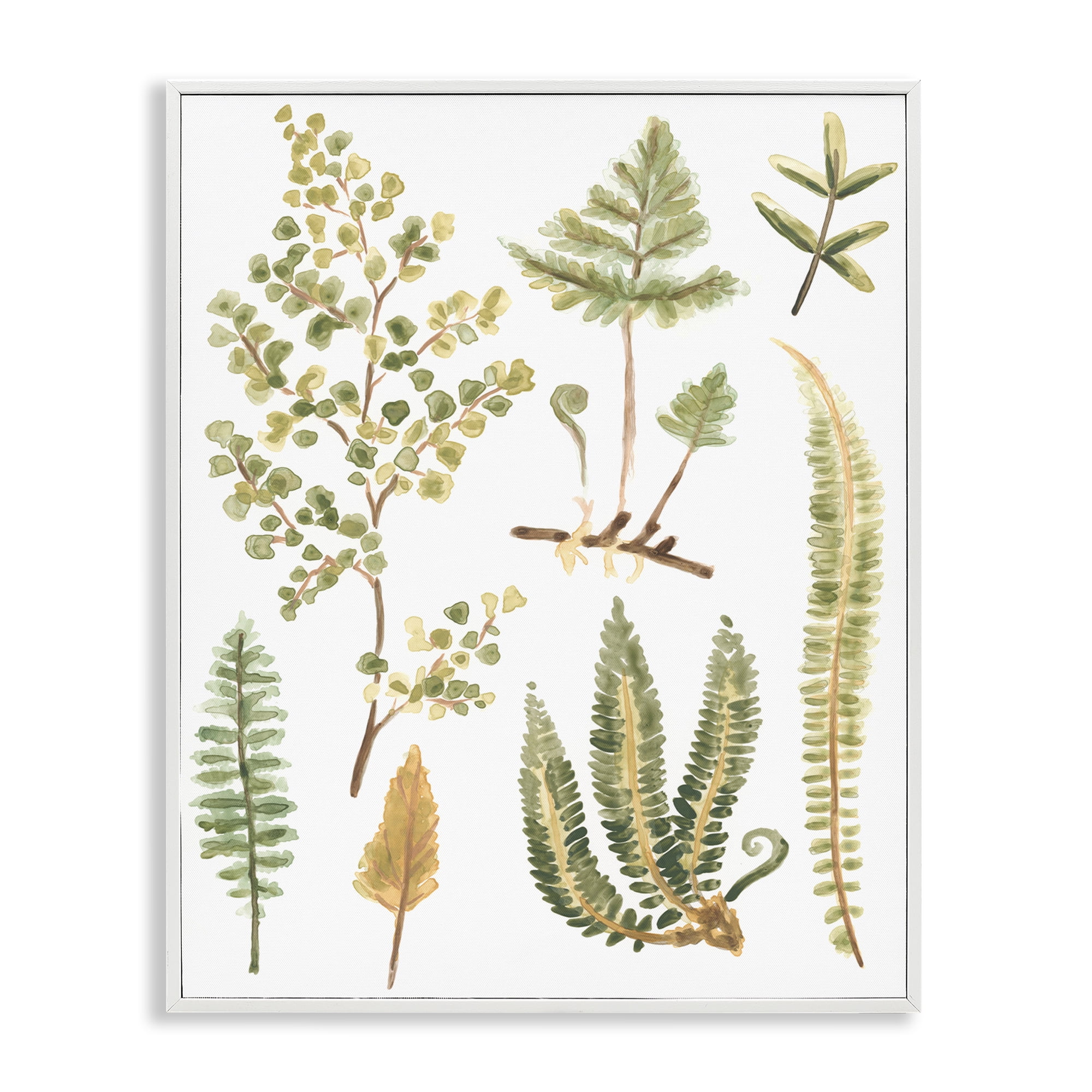 Stupell Industries Wild Forest Ferns Botanical & Floral Painting White Framed Art Print Wall Art, 16 x 20
