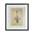 thumbnail image 1 of Stupell Industries Wild Herb with Green Stripes Black Framed Print Under Glass design by Lettered and Lined, 16 x 13, 1 of 10