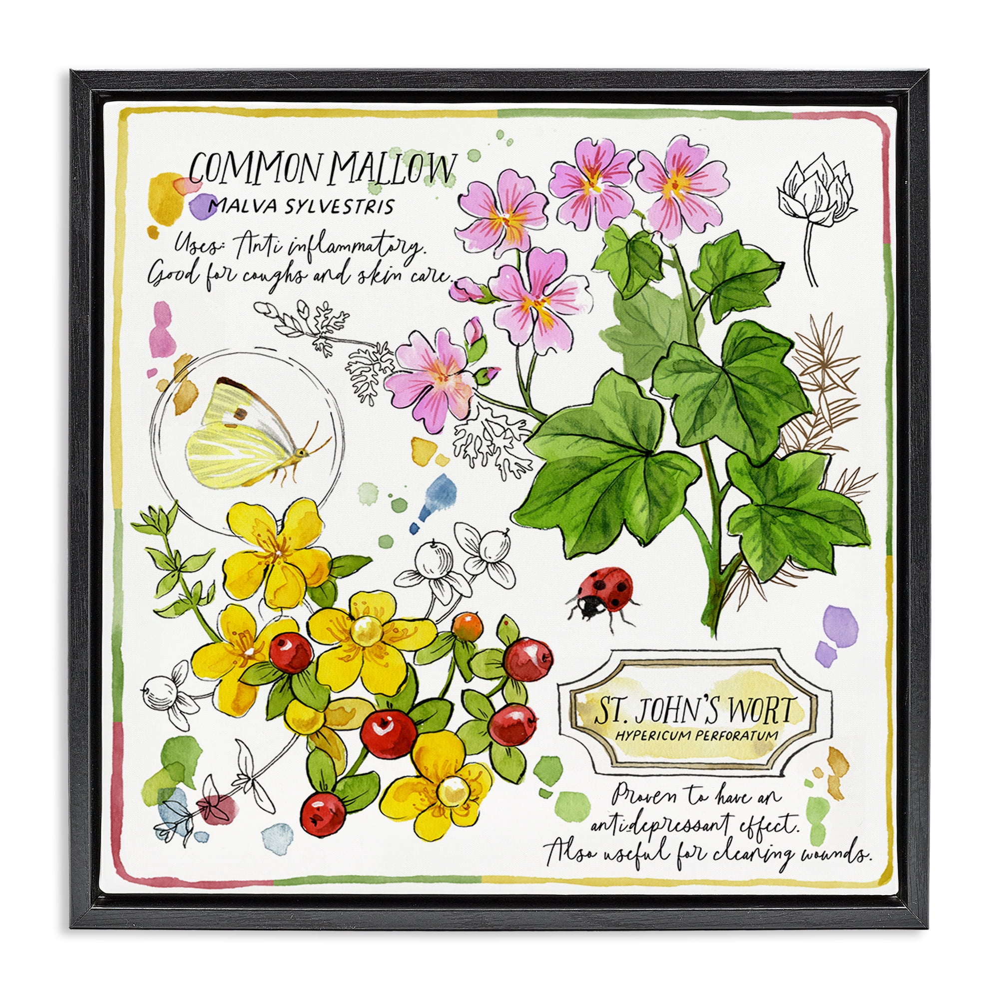 Stupell Industries Wild Herbs Benefits Plants & Flowers Painting Black Floater Framed Canvas Art Print Wall Art, 18 x 18