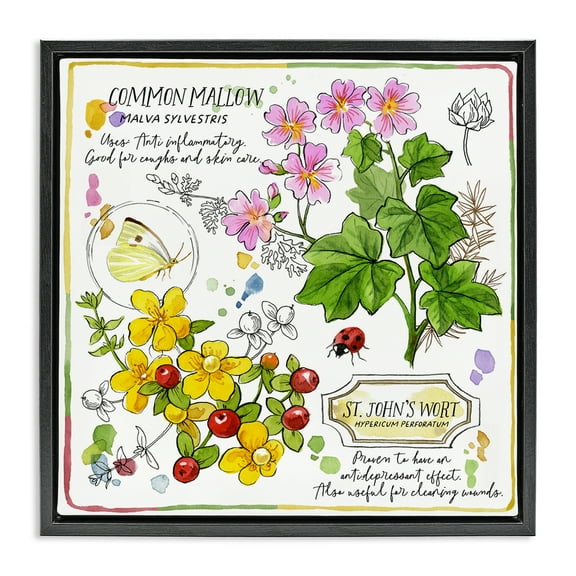 Stupell Industries Wild Herbs Benefits Plants & Flowers Painting Black Floater Framed Canvas Art Print Wall Art, 18 x 18