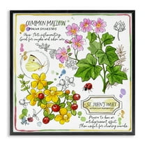 Stupell Industries Wild Herbs Benefits Plants & Flowers Painting Black Framed Art Print Wall Art, 12 x 12