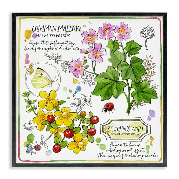 Stupell Industries Wild Herbs Benefits Plants & Flowers Painting Black Framed Art Print Wall Art, 12 x 12