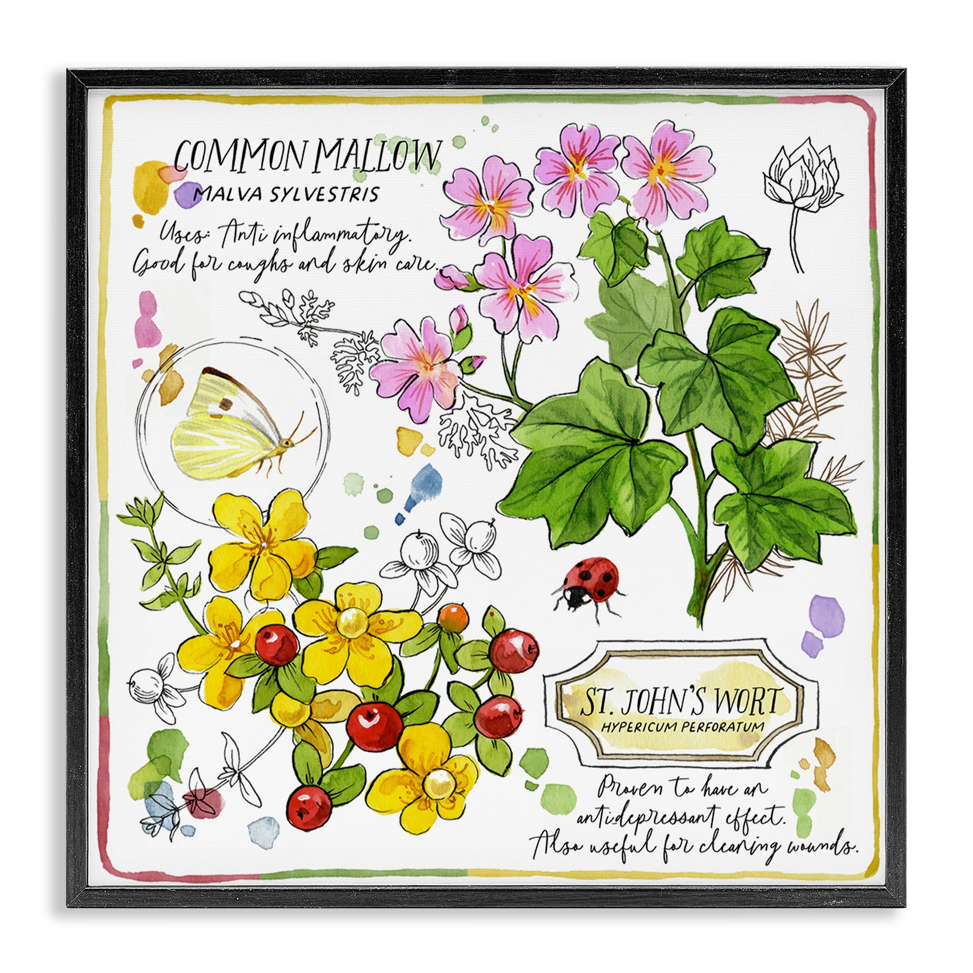 Stupell Industries Wild Herbs Benefits Plants & Flowers Painting Black Framed Art Print Wall Art, 17 x 17
