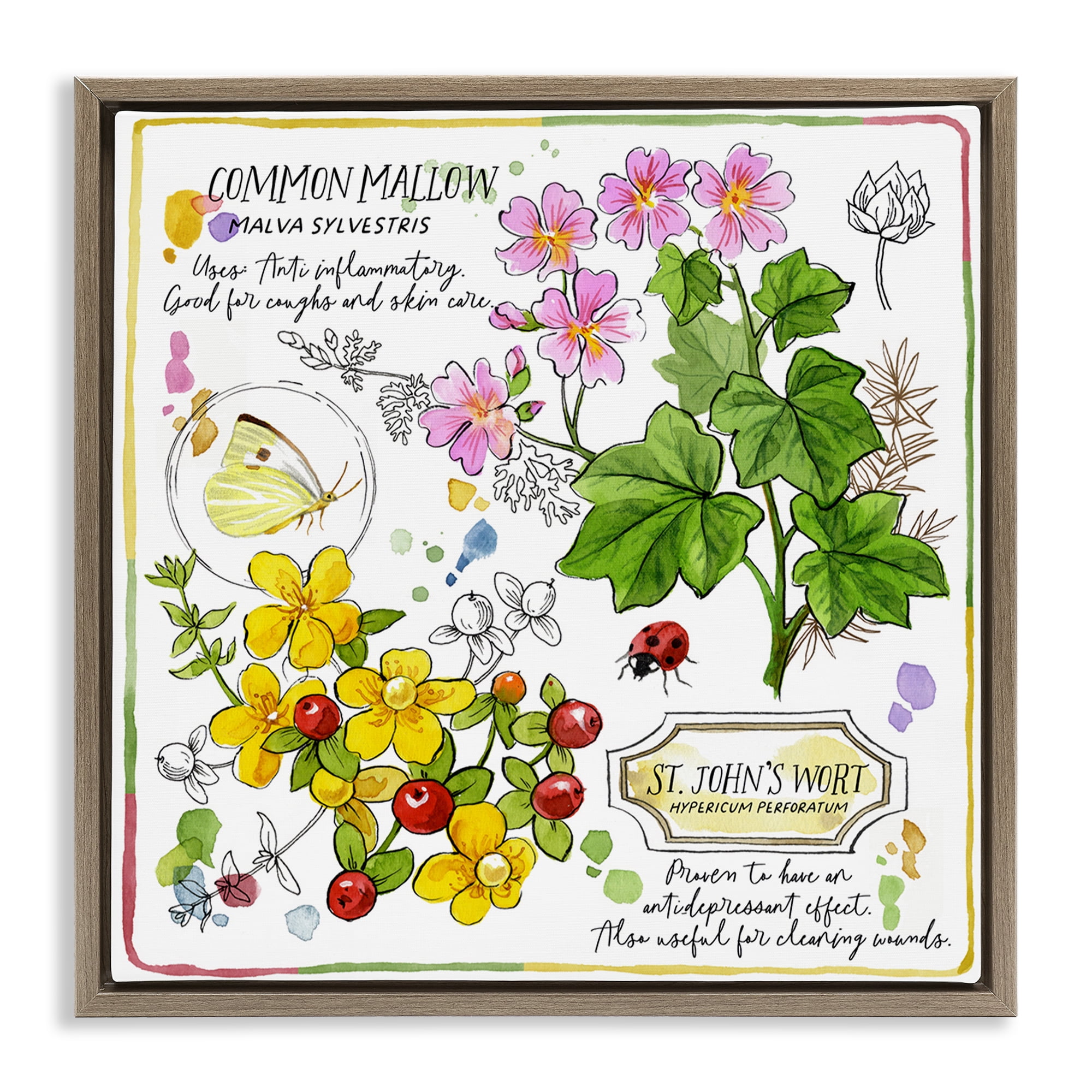 Stupell Industries Wild Herbs Benefits Plants & Flowers Painting Brown Floater Framed Canvas Art Print Wall Art, 18 x 18