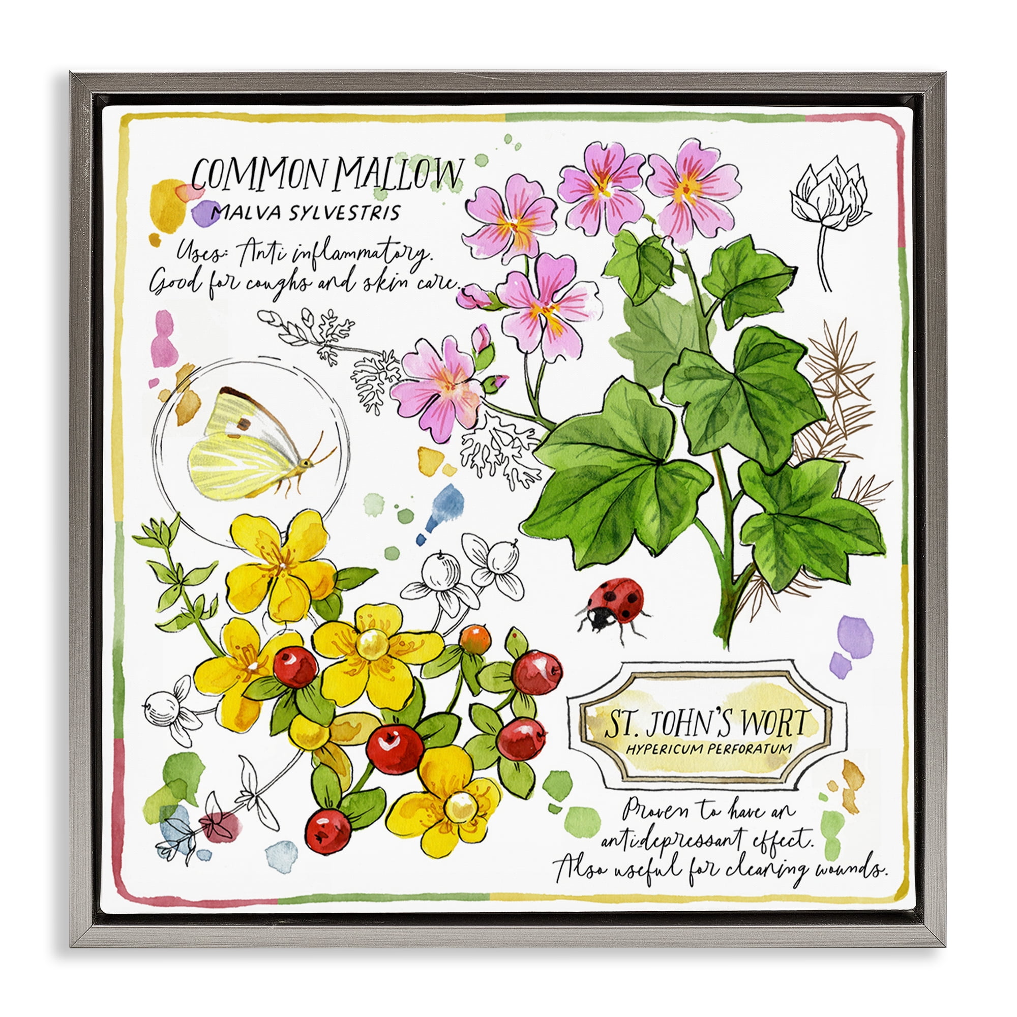 Stupell Industries Wild Herbs Benefits Plants & Flowers Painting Gray Floater Framed Canvas Art Print Wall Art, 18 x 18