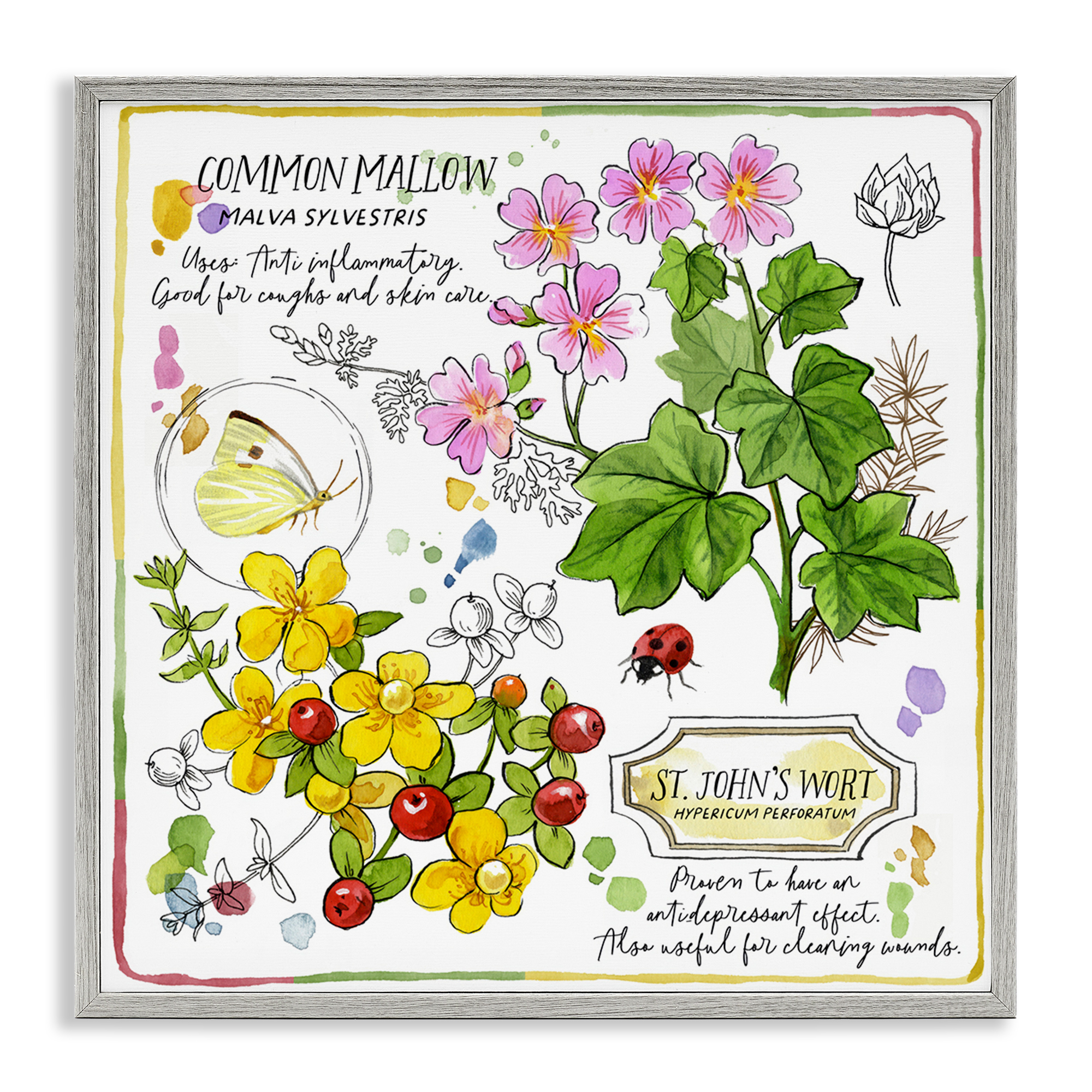 Stupell Industries Wild Herbs Benefits Plants & Flowers Painting Gray Framed Art Print Wall Art, 12 x 12