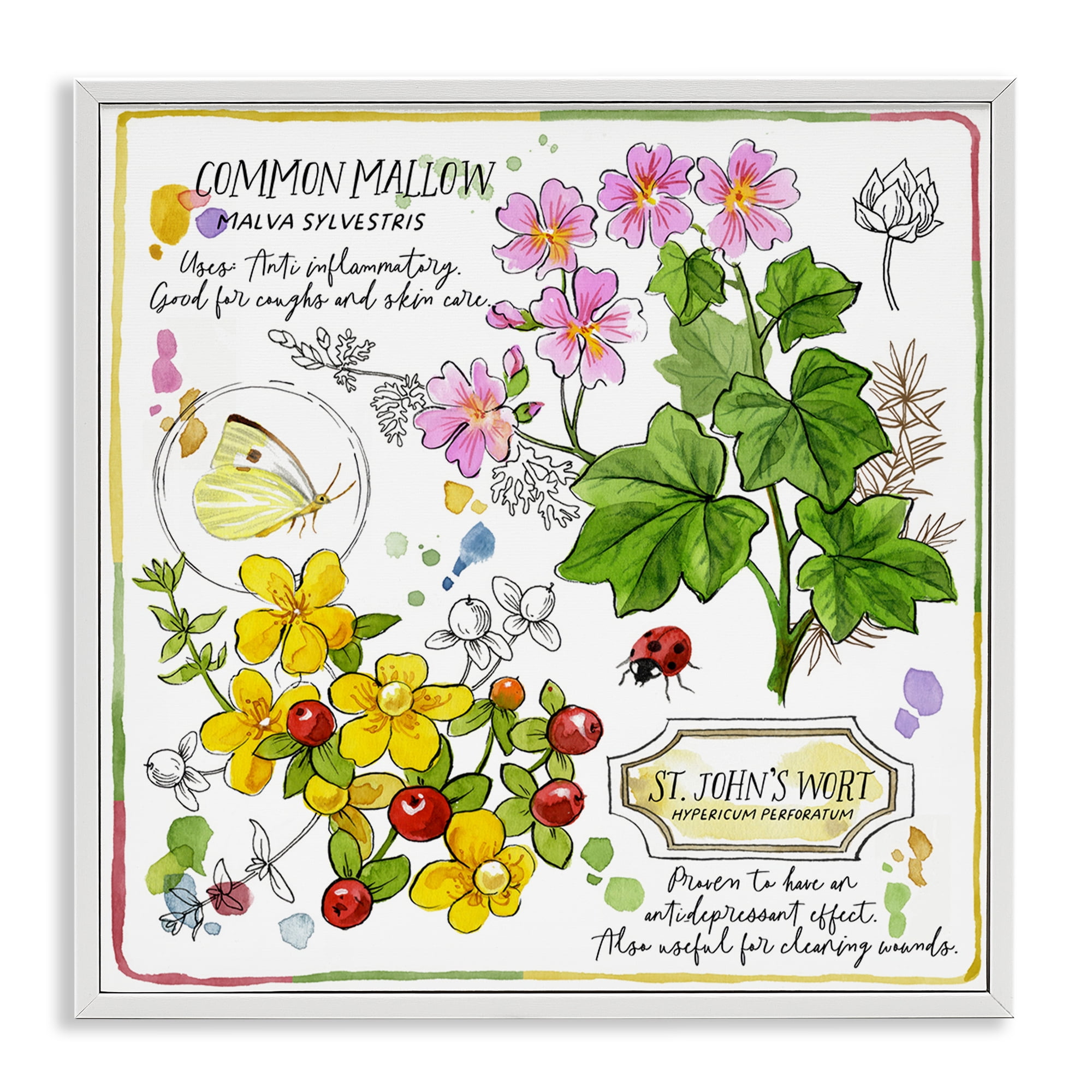 Stupell Industries Wild Herbs Benefits Plants & Flowers Painting White Framed Art Print Wall Art, 17 x 17