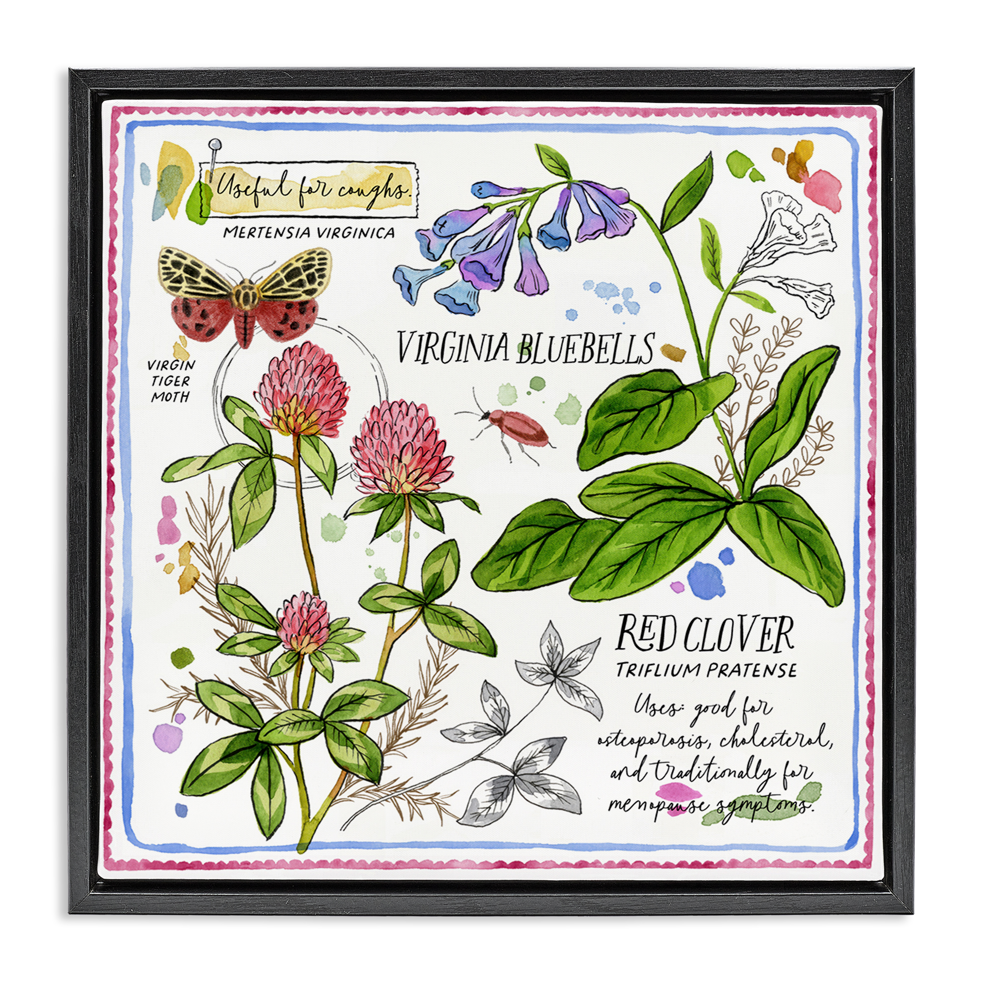 Stupell Industries Wild Herbs Diagram Plants & Flowers Painting Black Floater Framed Canvas Art Print Wall Art, 25 x 25