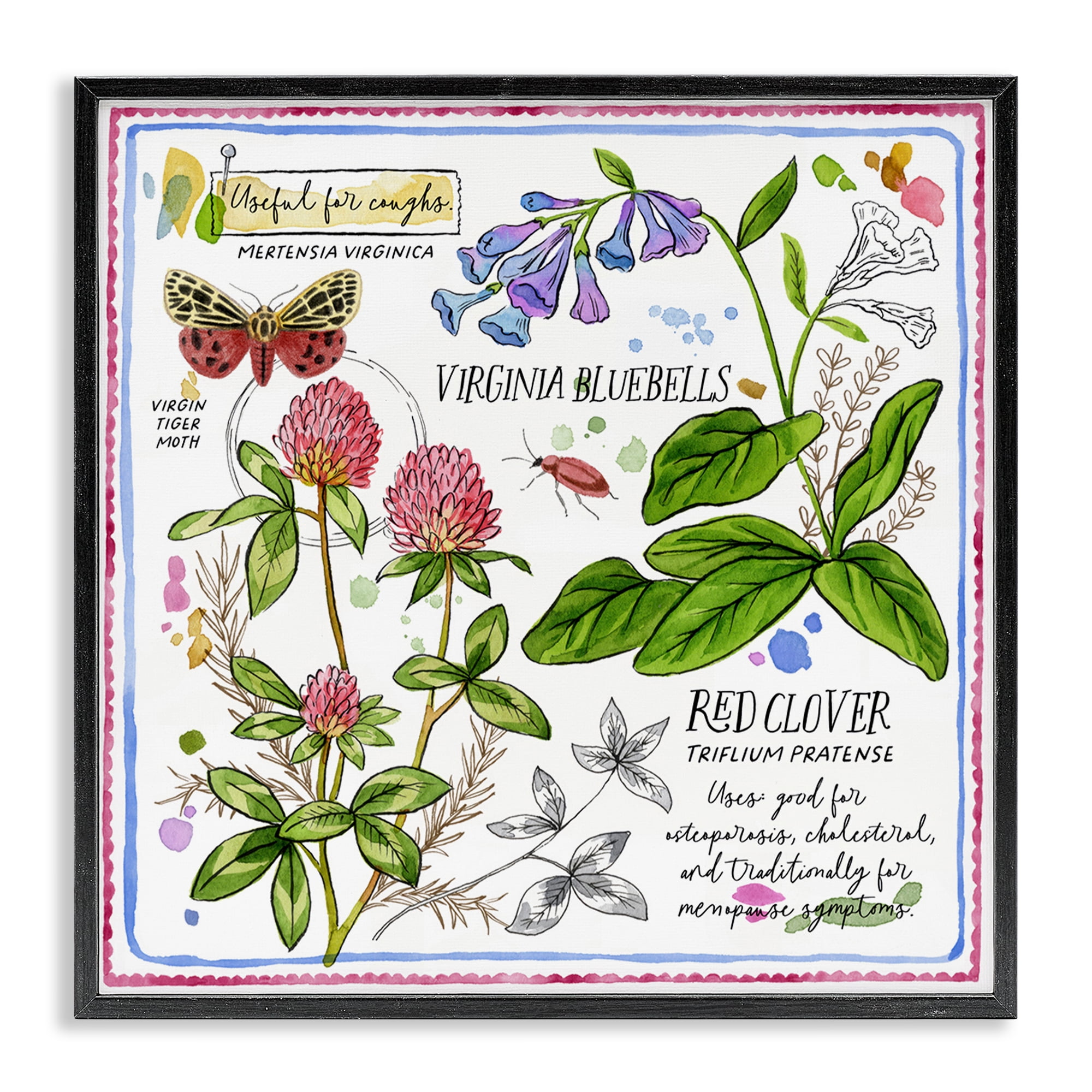 Stupell Industries Wild Herbs Diagram Plants & Flowers Painting Black Framed Art Print Wall Art, 12 x 12