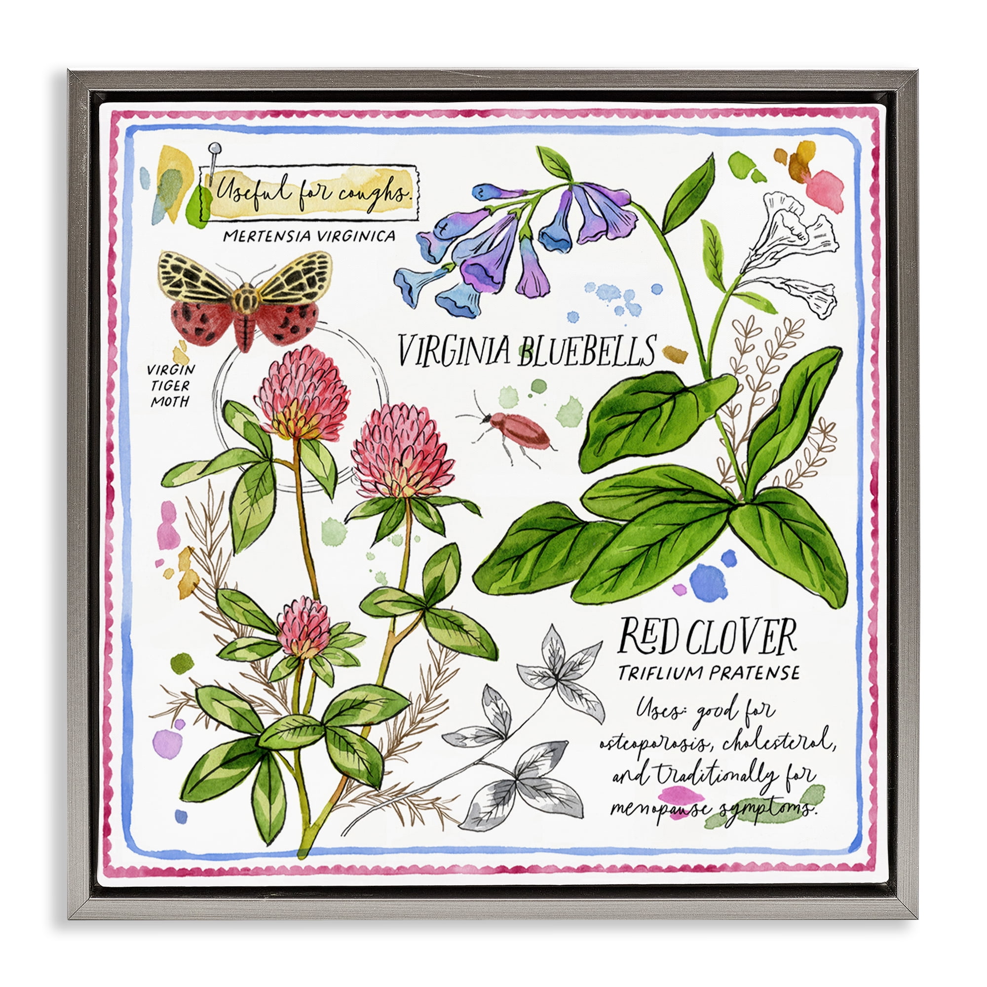 Stupell Industries Wild Herbs Diagram Plants & Flowers Painting Gray Floater Framed Canvas Art Print Wall Art, 18 x 18