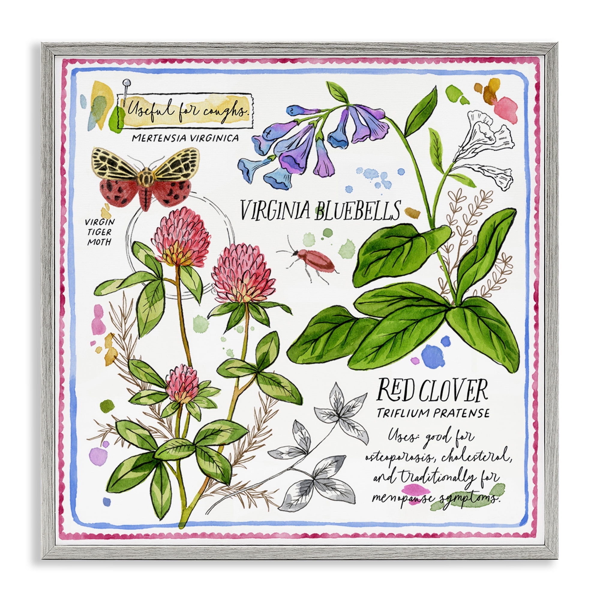 Stupell Industries Wild Herbs Diagram Plants & Flowers Painting Gray Framed Art Print Wall Art, 24 x 24