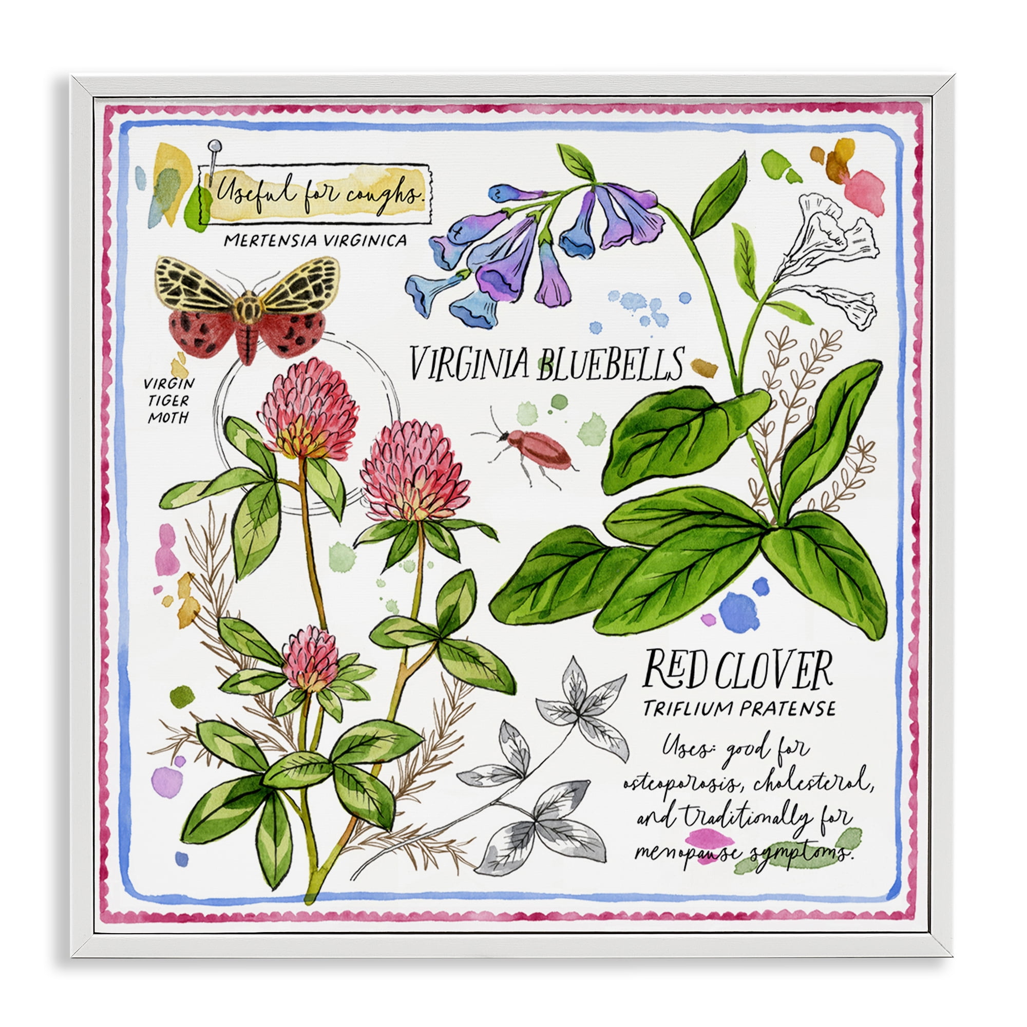 Stupell Industries Wild Herbs Diagram Plants & Flowers Painting White Framed Art Print Wall Art, 12 x 12