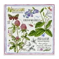 thumbnail image 1 of Stupell Industries Wild Herbs Diagram Plants & Flowers Painting Wrapped Canvas Art Print Wall Art, 30 x 30, 1 of 8