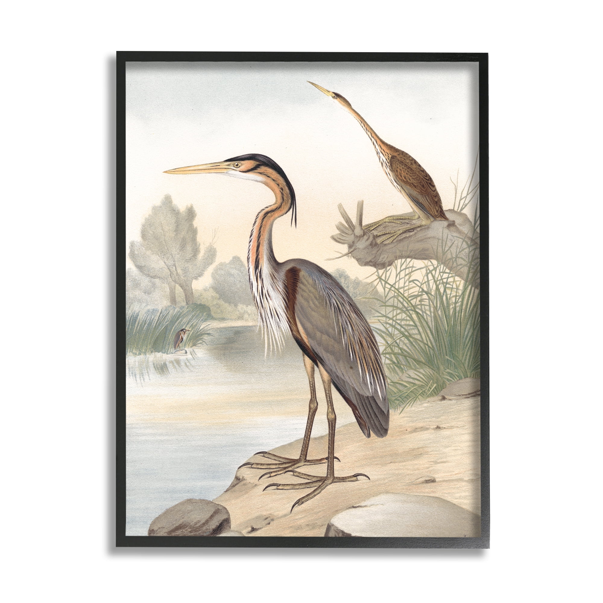Stupell Industries Wild Heron Birds Perched Scenic Grassy Creek Painting Black Framed Art Print Wall Art, Design by Piddix