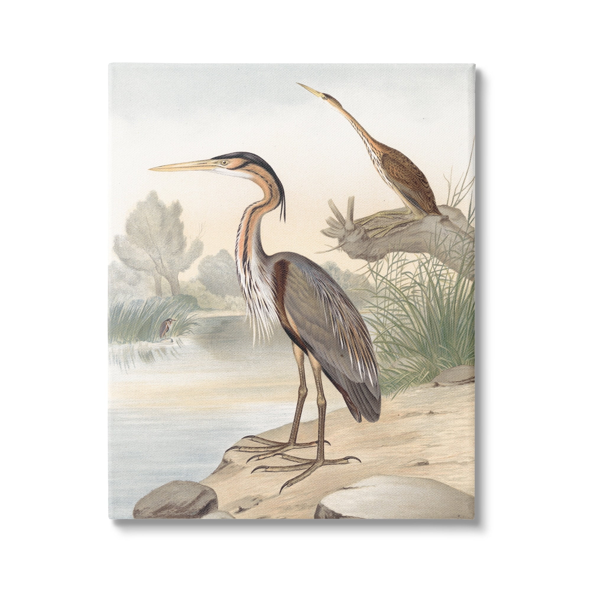 Stupell Industries Wild Heron Birds Perched Scenic Grassy Creek Painting Gallery Wrapped Canvas Print Wall Art, Design by Piddix