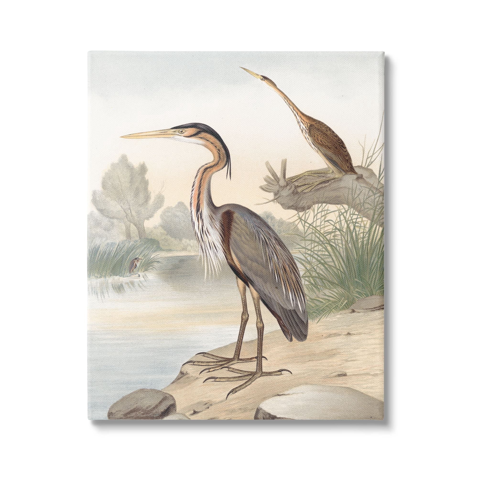 Stupell Industries Wild Heron Birds Perched Scenic Grassy Creek Painting Gallery Wrapped Canvas Print Wall Art, Design by Piddix
