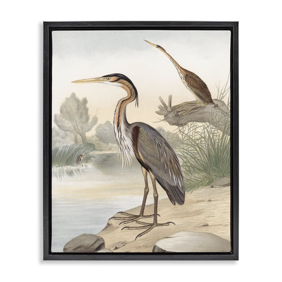 Stupell Industries Traditional Wild Heron Birds Perched Scenic Grassy Creek Black Floating Frame Canvas Art, 17 x 21, by Piddix