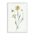 Stupell Industries Wild Honeybloom Flowers Botanical & Floral Painting White Framed Art Print