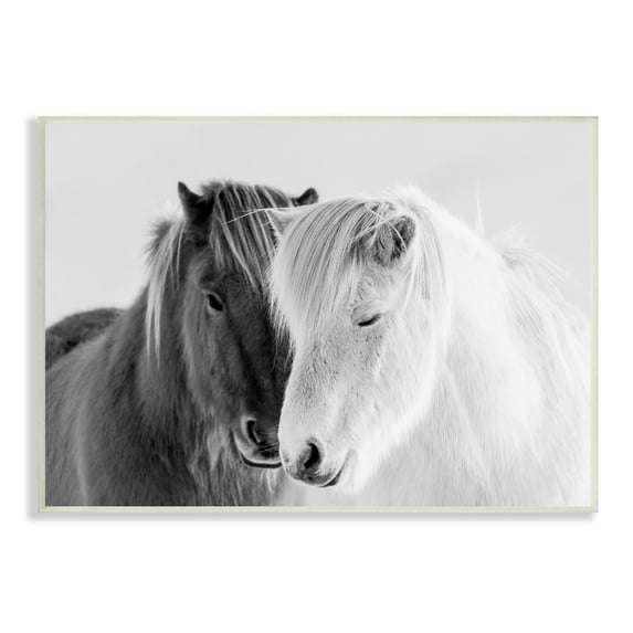 Stupell Industries Wild Horse Animal Pair Black White Southwestern Photograph, 15 x 10, Design by Danita Delimont