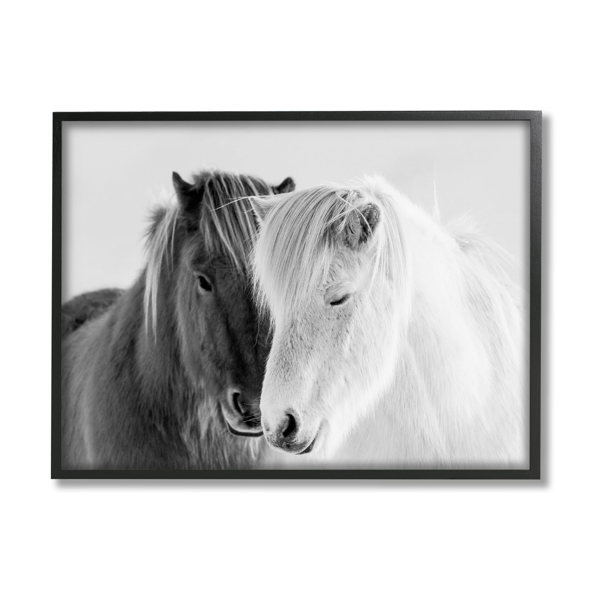Stupell Industries Wild Horse Animal Pair Black White Southwestern Photograph, 20 x 16, Design by Danita Delimont
