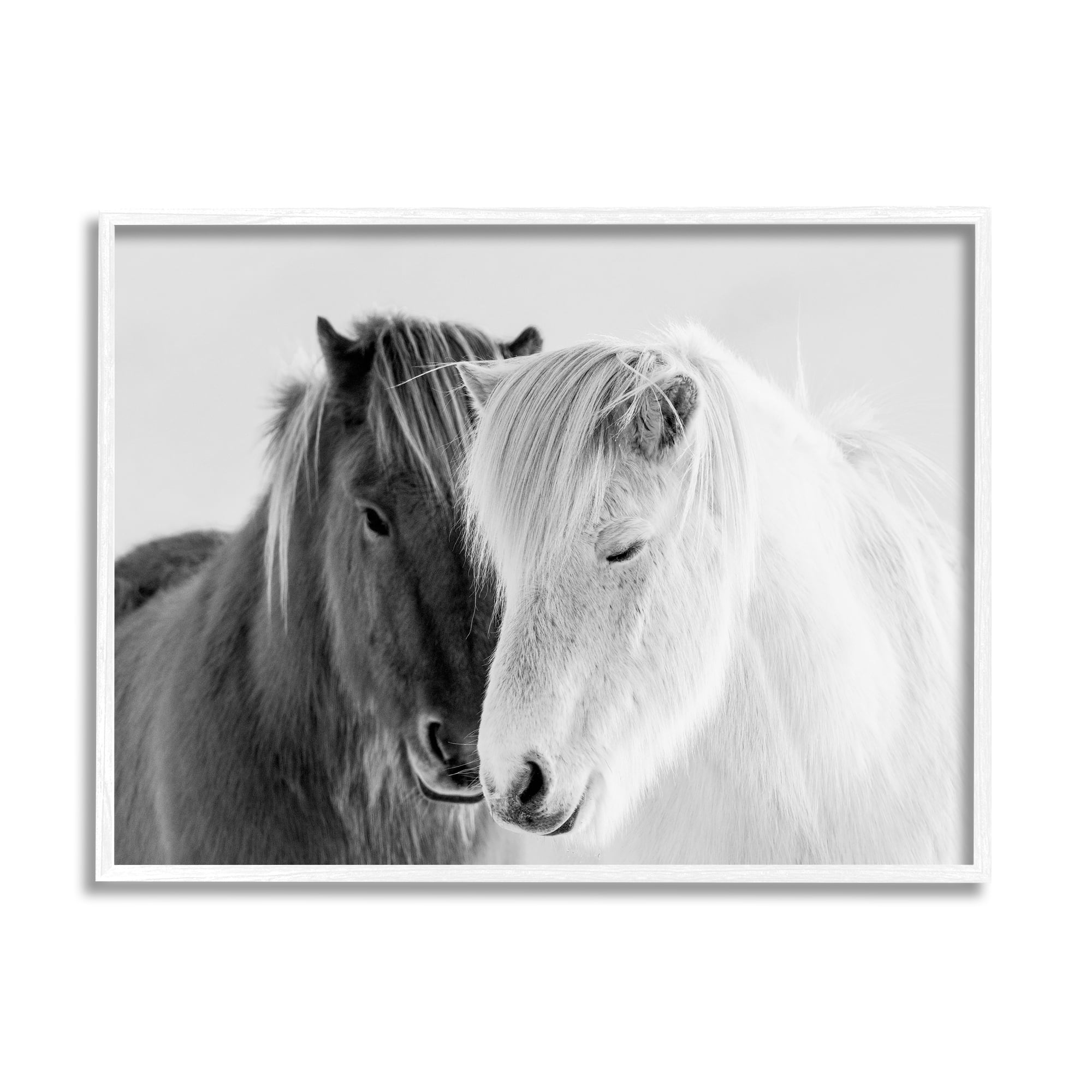 Stupell Industries Wild Horse Animal Pair Black White Southwestern Photograph, 20 x 16, Design by Danita Delimont