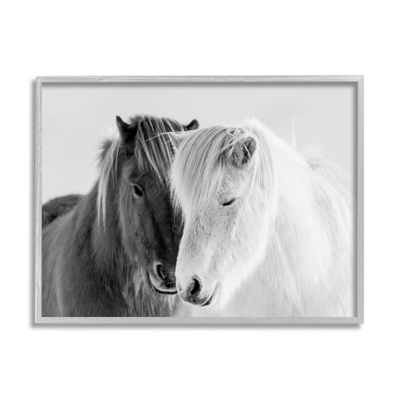 Stupell Industries Wild Horse Animal Pair Black White Southwestern Photograph, 30 x 24, Design by Danita Delimont