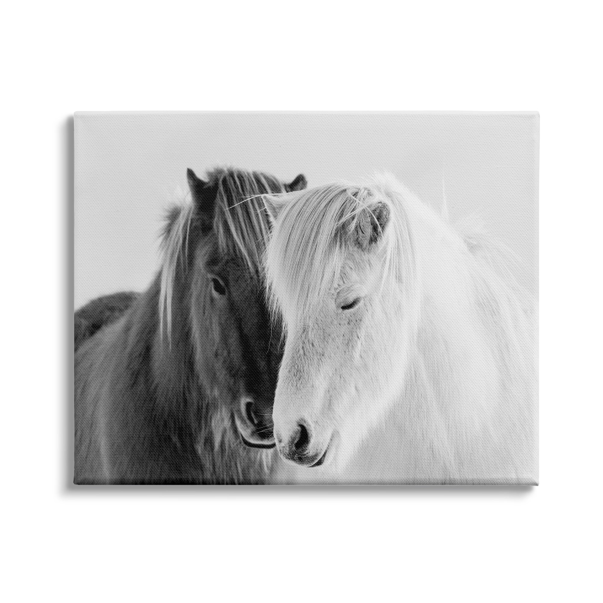 Stupell Industries Wild Horse Animal Pair Black White Southwestern Photograph, 40 x 30, Design by Danita Delimont