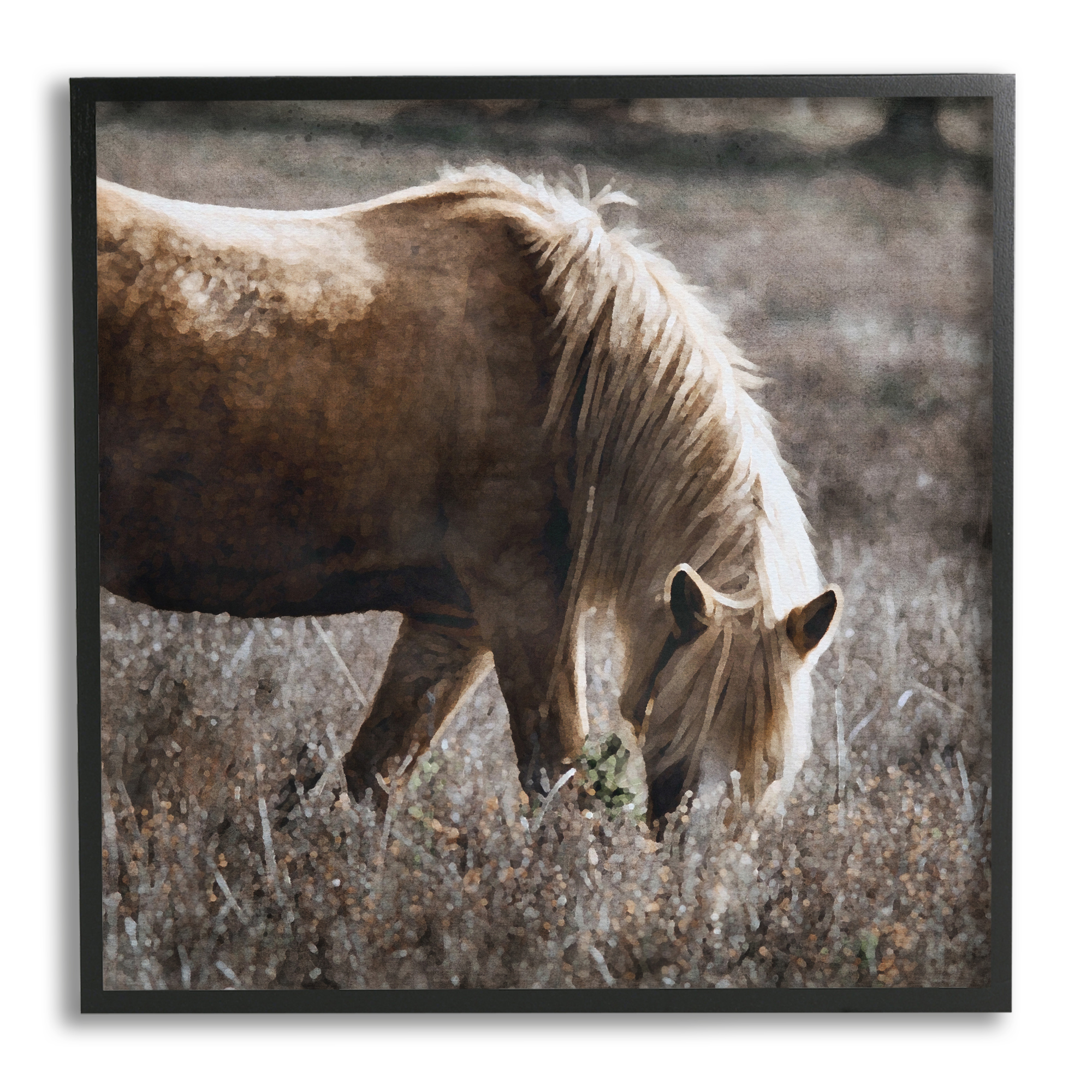 Stupell Industries Wild Horse Grazing Animals & Insects Painting Black Framed Art Print Wall Art, 24 x 24