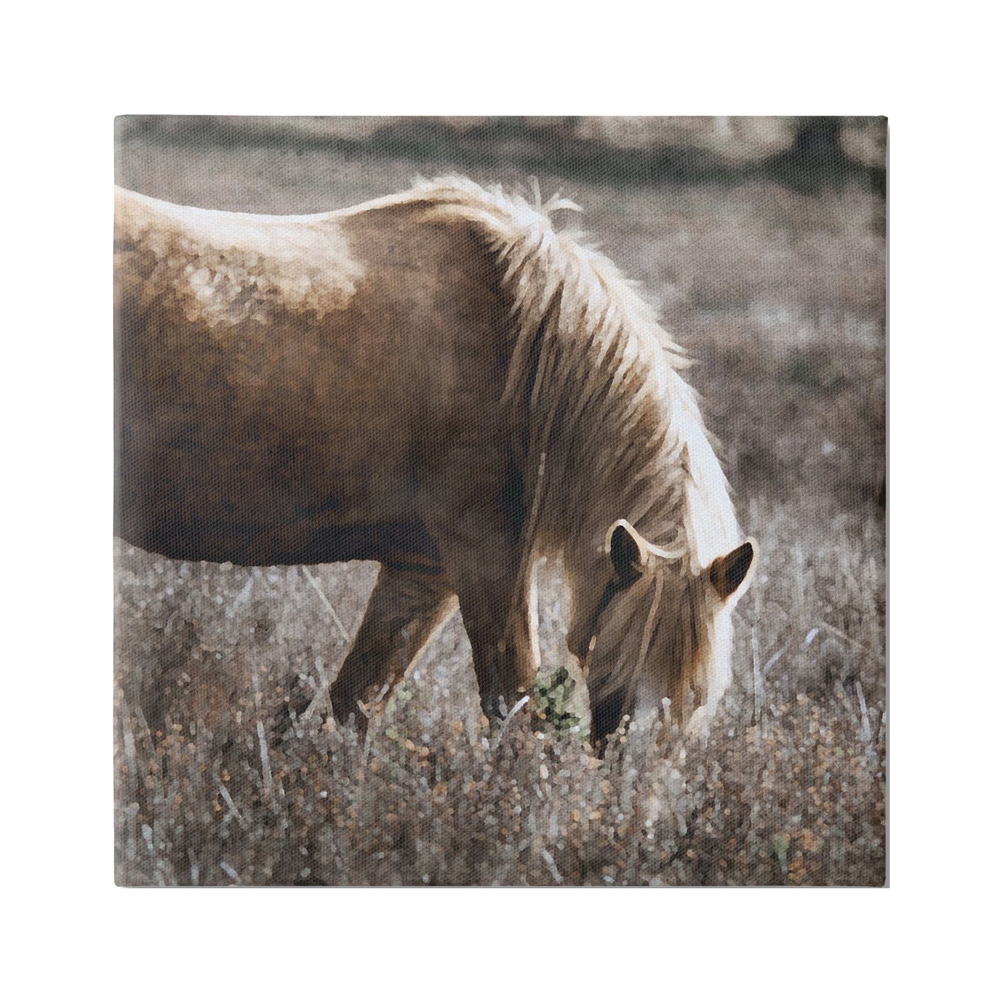 Stupell Industries Wild Horse Grazing Animals & Insects Painting Gallery Wrapped Canvas Print Wall Art, 36 x 36