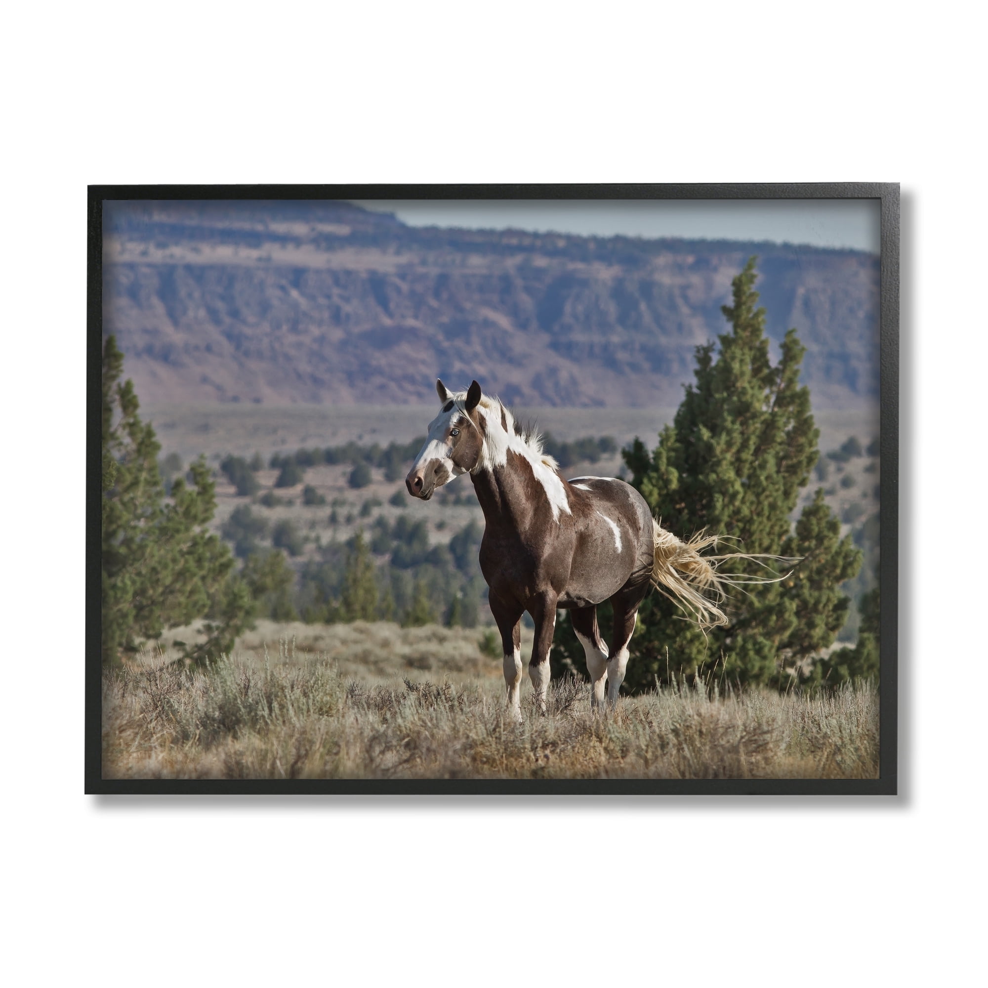 Stupell Industries Wild Horse Southwestern Landscape Canyon Cliffs, 11 x 14, Designed by Larry McFerrin