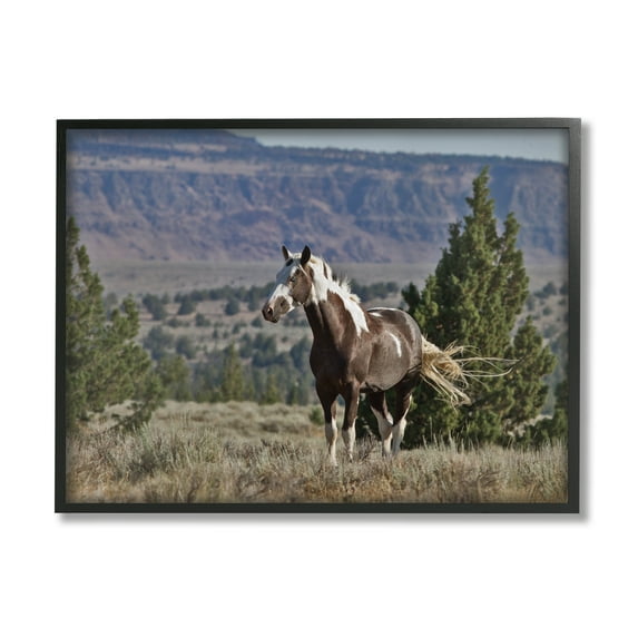 Stupell Industries Wild Horse Southwestern Landscape Canyon Cliffs, 16 x 20, Designed by Larry McFerrin